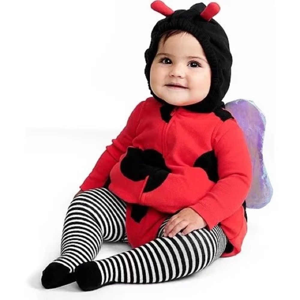 Infant Ladybug Costume